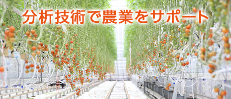 分析技術で農業をサポート