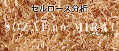 セルロース分析